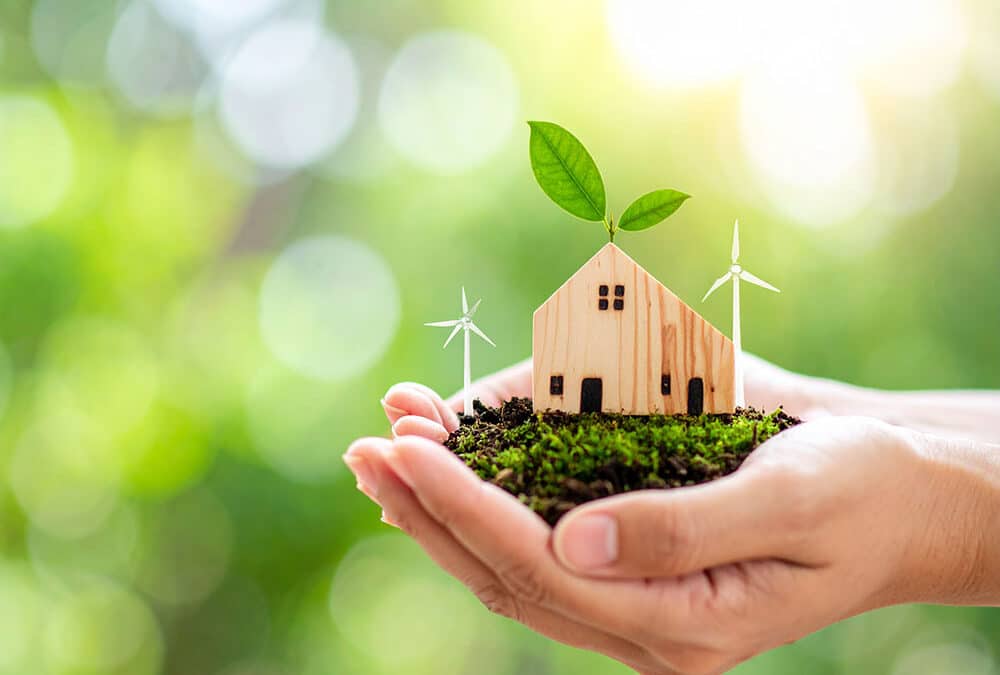 Construire autrement : l’ossature bois pour un habitat éco-responsable